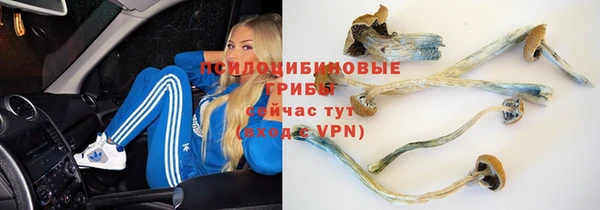 экстази Алексин
