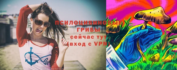 стафф Алексеевка