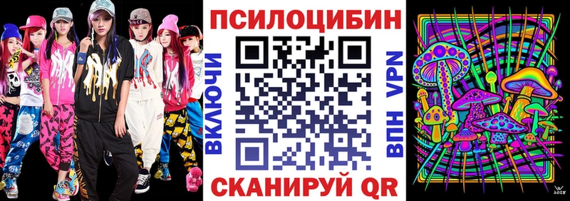 Галлюциногенные грибы мицелий  Суджа 
